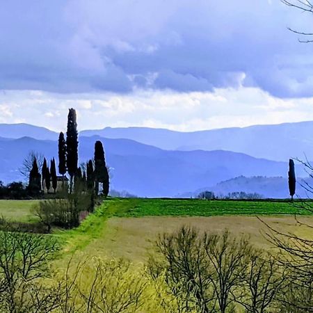Tuscan Hills Near Florence - Stone House Vicchio Eksteriør bilde