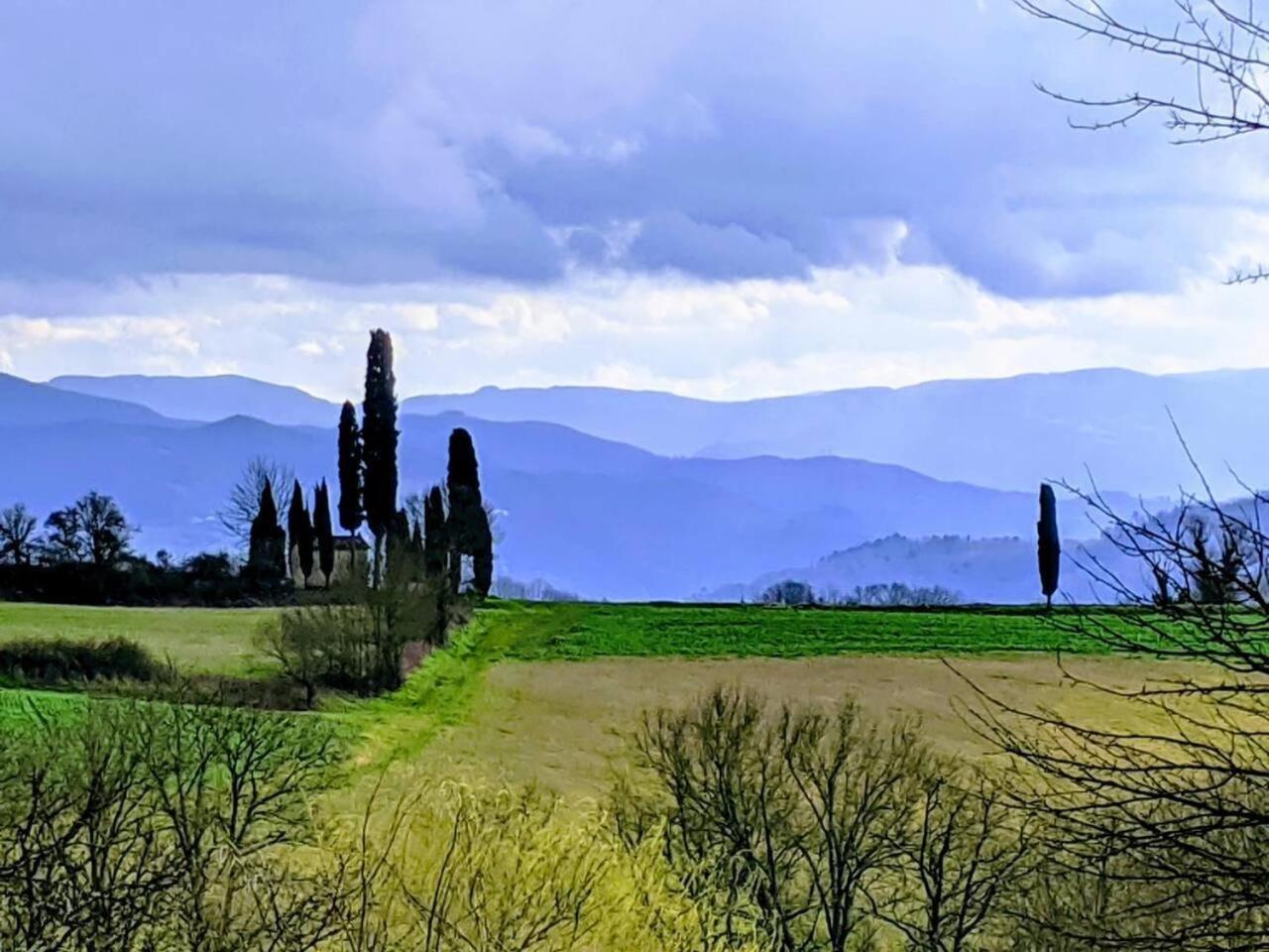 Tuscan Hills Near Florence - Stone House Vicchio Eksteriør bilde